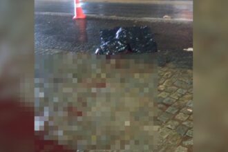 Mulher morre após ser atropelada na BR-101 em Campos