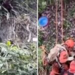 Cão que ‘pedia socorro’ após cair de encosta é resgatado por bombeiros