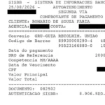 Após ser criticado por viagem à Copa, Romário devolve R$ 29 mil ao Senado