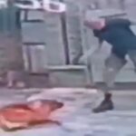 Cachorro é morto a tiros por homem que caminhava com outro cão