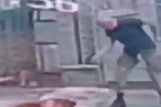 Cachorro é morto a tiros por homem que caminhava com outro cão