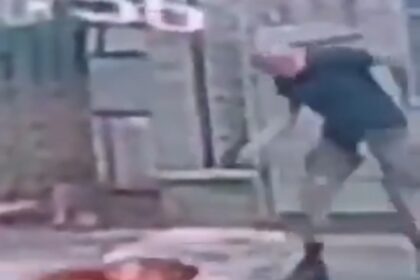 Cachorro é morto a tiros por homem que caminhava com outro cão