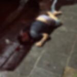 Homem é assassinado a tiros em Farol de São Thomé