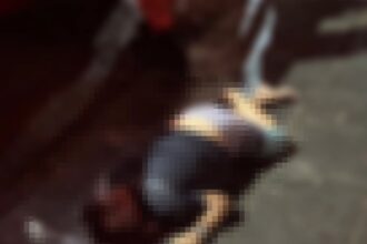 Homem é assassinado a tiros em Farol de São Thomé