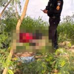 Homem é encontrado morto às margens de valão em Campos