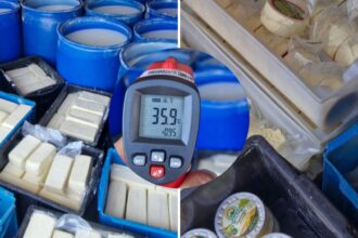 Cerca de 500 kg de queijo entre outros alimentos impróprios para consumo são apreendidos dentro de caminhão em Campos