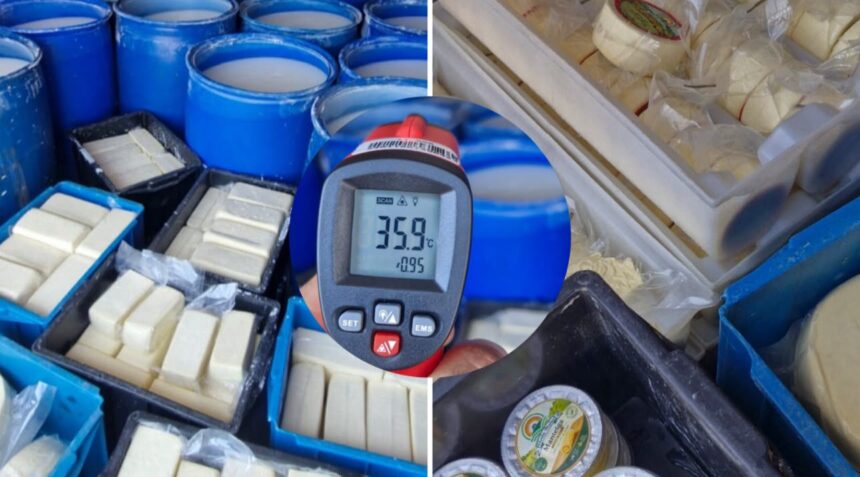 Cerca de 500 kg de queijo entre outros alimentos impróprios para consumo são apreendidos dentro de caminhão em Campos Cerca de 500 kg de queijo entre outros alimentos impróprios para consumo são apreendidos dentro de caminhão em Campos