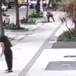 Idosa é arrastada por bandido durante assalto no Leblon