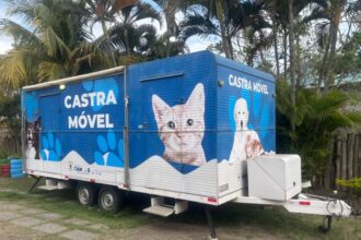 Moradores de oito bairros de Campos poderão inscrever cães e gatos para castração