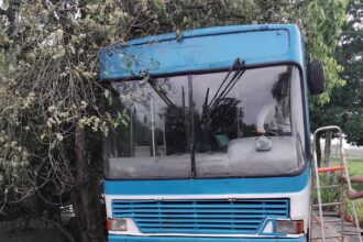 Passageiros deixam ônibus pela janela após veículo ficar com roda para fora de ponte de madeira