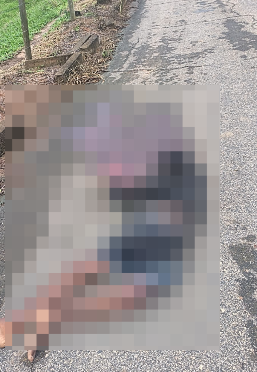 Polícia investiga caso de corpo encontrado com marcas de tiros em estrada de Campos Polícia investiga caso de corpo encontrado com marcas de tiros em estrada de Campos